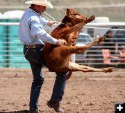 Calf roping