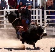 Mini Bull Riding - Kids