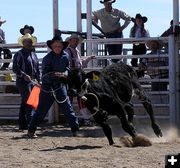 Calf roping - kids